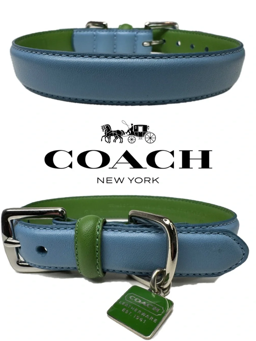 Coach Green Blue  Leather Vintage Y2 K ID Tag Size S Small 11-13” Dog Collar